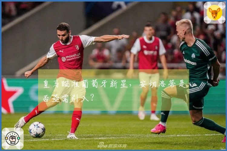 皇马瞄准葡萄牙新星，安切洛蒂是否亟需引入？