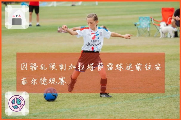 因骚乱限制加拉塔萨雷球迷前往安菲尔德观赛